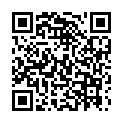 QR Holderhof Ice Tea Lemon Bio Petflasche 5dl buy online