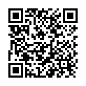 QR Absorin Finette Mini-Einlagen 31.3x14.3cm 14 Stück buy online