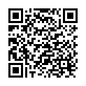 QR Bel Stilleinlagen 30 Stück buy online