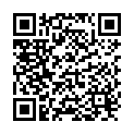 QR Soft-Tampons Normal 3 Stück buy online