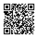 QR Gecko Nasenpad Small buy online