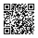 QR Gecko Nasenpad S 10 Stück buy online