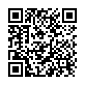 QR Gecko Nasenpad Large 10 Stück buy online