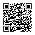QR Rz Codex Natursteinsiegel 230 Flasche 1L buy online
