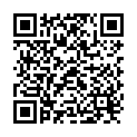 QR Rz Bodenfleckenloeser 500ml buy online