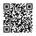 QR Hess toilet pumice stone T3 individually packed buy online