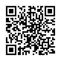 QR Remington hair dryer buy online