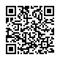 QR Vitility Ring Pillow buy online