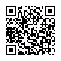 QR Soft-Tampons Mini 3 Stück buy online