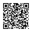QR Quies Lärmgehörschutzkugeln Wachs 16 Stück buy online