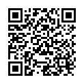 QR Yogi Tee Abend Beutel 17 Stück buy online