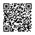 QR Yogi Tee Glück Beutel 17 Stück buy online