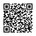 QR Yogi Tee Classic Beutel 17 Stück buy online