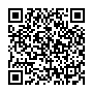 QR Yogi Green Tea Grüner Morgen Beutel 17 Stück buy online