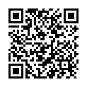 QR Broxo Ersatzbürsten Universell 4 Stück buy online