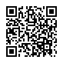 QR Intimina Laselle Kegel-Vaginalkugel 38g buy online