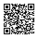 QR Lipoaerosol Inhalationslösung Flasche 45ml buy online
