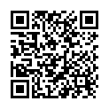 QR Pirom Balsam Steller 12 Stück buy online