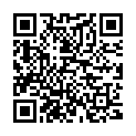 QR Porges replacement set Cystodrain Ch15 buy online