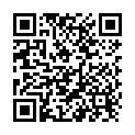 QR Willi Fox Alkoholtester 2 Stück buy online