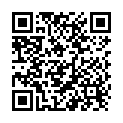 QR Willi Fox Alkoholtester 4 Stück buy online