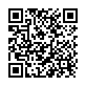 QR Willi Fox Alkoholtester 10 Stück buy online