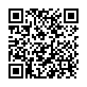 QR Nipro disposable needles 0.4x19mm 27Gx 3/4 gray 100 pcs