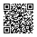 QR Shuyao tea culture 104. Chai * 13 Box 3 g