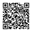 QR Gibaud Action V Lendenstützgurt Grösse 3 100-110cm Sch buy online