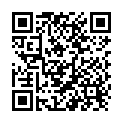 QR Blox display small complete 12 units