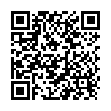 QR Beriplex P / N 1000 Trockensub solvent Durchstf