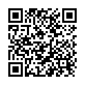 QR V6 Counter Display Mix Assorted 88 pieces