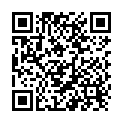 QR MColorpHast indicator strips 9531 100 pcs