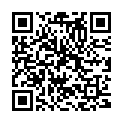 QR bibi bib Velcro set of 3 SV-A + SV-B