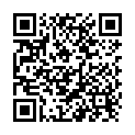 QR bibi bib slip form Set of 3 SV-A + SV-B