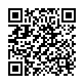 QR PDI alcohol swabs 100 pcs