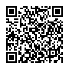 QR Fibrogammin Trockensub 250 IU cum solvent with transfer set