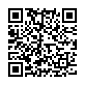 QR Vayo E-Cigarette ZERO Box 12 pc
