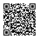 QR HEIDAK dropper bottles 100ml blue glass. in the hygiene Pack 70 pcs
