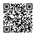 QR 100 Phoenix Schüssler Nr3 Ferrum phosphoricum Dil D 6 ml SPAG