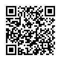 QR Neria steel infusion 27G 8/60 10 pcs