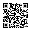 QR Sirocco Moroccan Mint Tea Bags 20 pcs