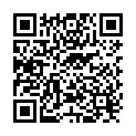 QR Sirocco Winter Moments 20 Teebeutel buy online