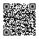 QR Cystofix Balloon change cutlery CH12 40cm straight with guidewire