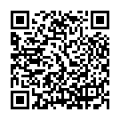 QR HEIDAK Spagyrik Manganum sulfuricum Fl 250 ml buy online