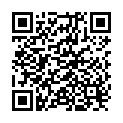 QR Ginkgo Mepha Lactab 120 mg 120 pcs
