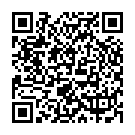 QR Xylitol Xilito Birkenzucker Finland 25 Battalion 4 g