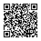 QR HEIDAK Spagyrik potassium bromatum Fl 250 ml