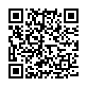 QR Habu eggs colors liq 3 pieces of cardboard 10