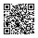 QR Pukka Drei Ingwer Tee Bio Beutel 20 Stück buy online